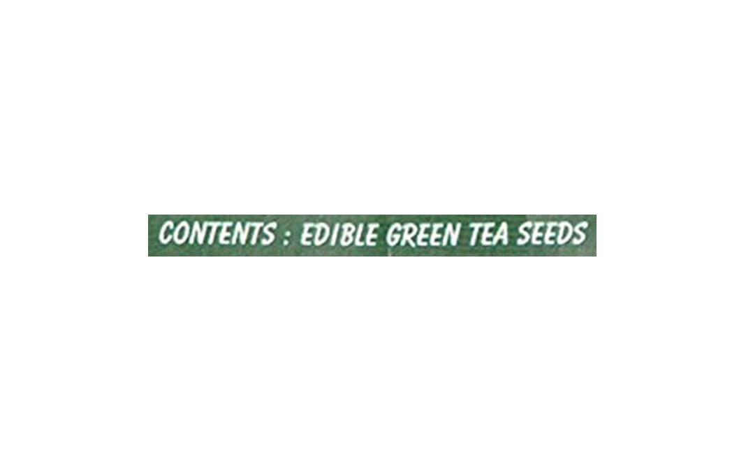 Green Wealth Whole Green Tea Seeds    Pack  100 grams